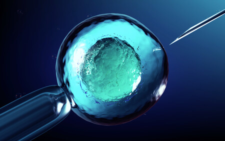 embryon win test