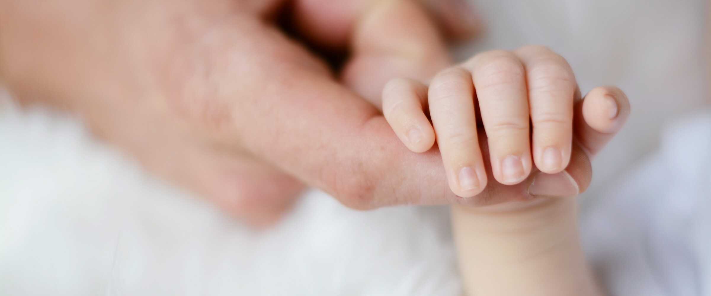 partent holding childs hand